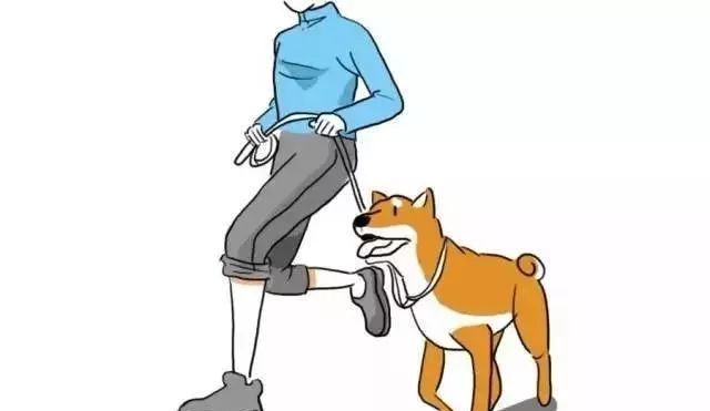 狗狗的行为突然很反常怎么回事,狗狗的行为有什么要纠正