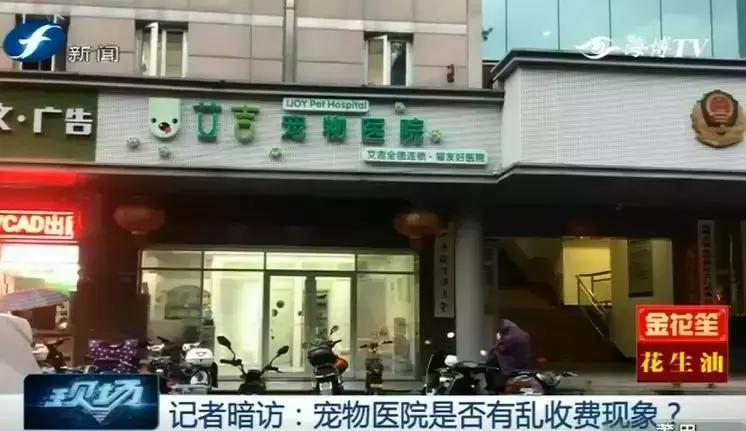 鍝瀹犵墿鍖婚櫌姝h涓嶄贡鏀惰垂,鏇濆厜瀹犵墿琛屼笟榛戝箷