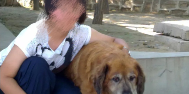 减肥控制不住吃多了怎么办,减肥控制不住零食怎么办