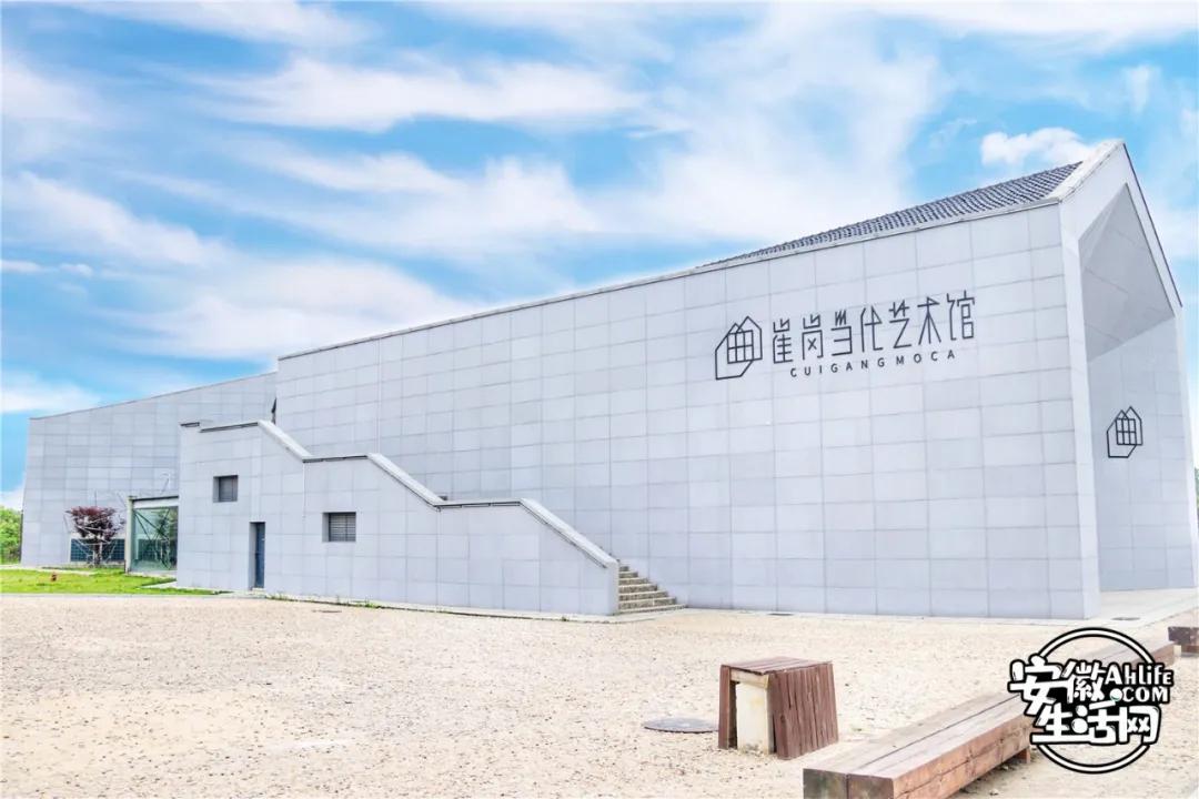 合肥最美的春天景点,合肥春天有哪些好玩的景点