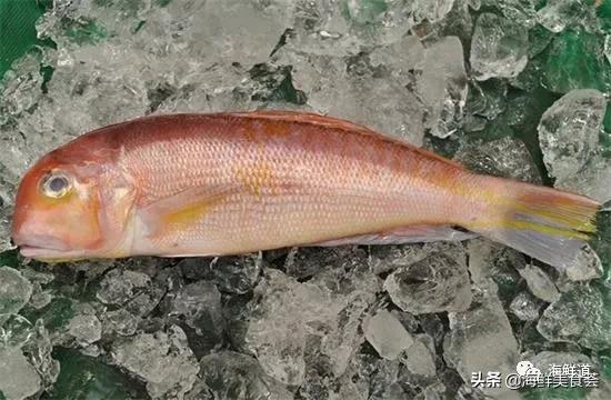 好吃不贵的海鲜种类有哪些,最好吃又最常见海鲜有几种