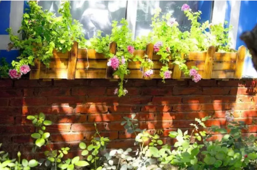 江湖路远一刀倾城,江湖路远