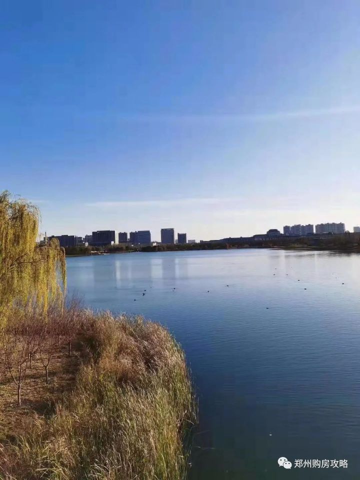 郑州郑东新区学区房分析,郑州郑东新区双学区房150平方以上