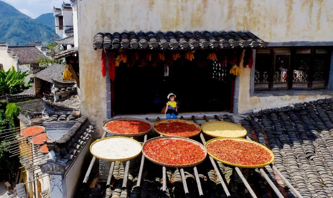 11月婺源旅游全攻略,婺源国庆旅游攻略3天2晚