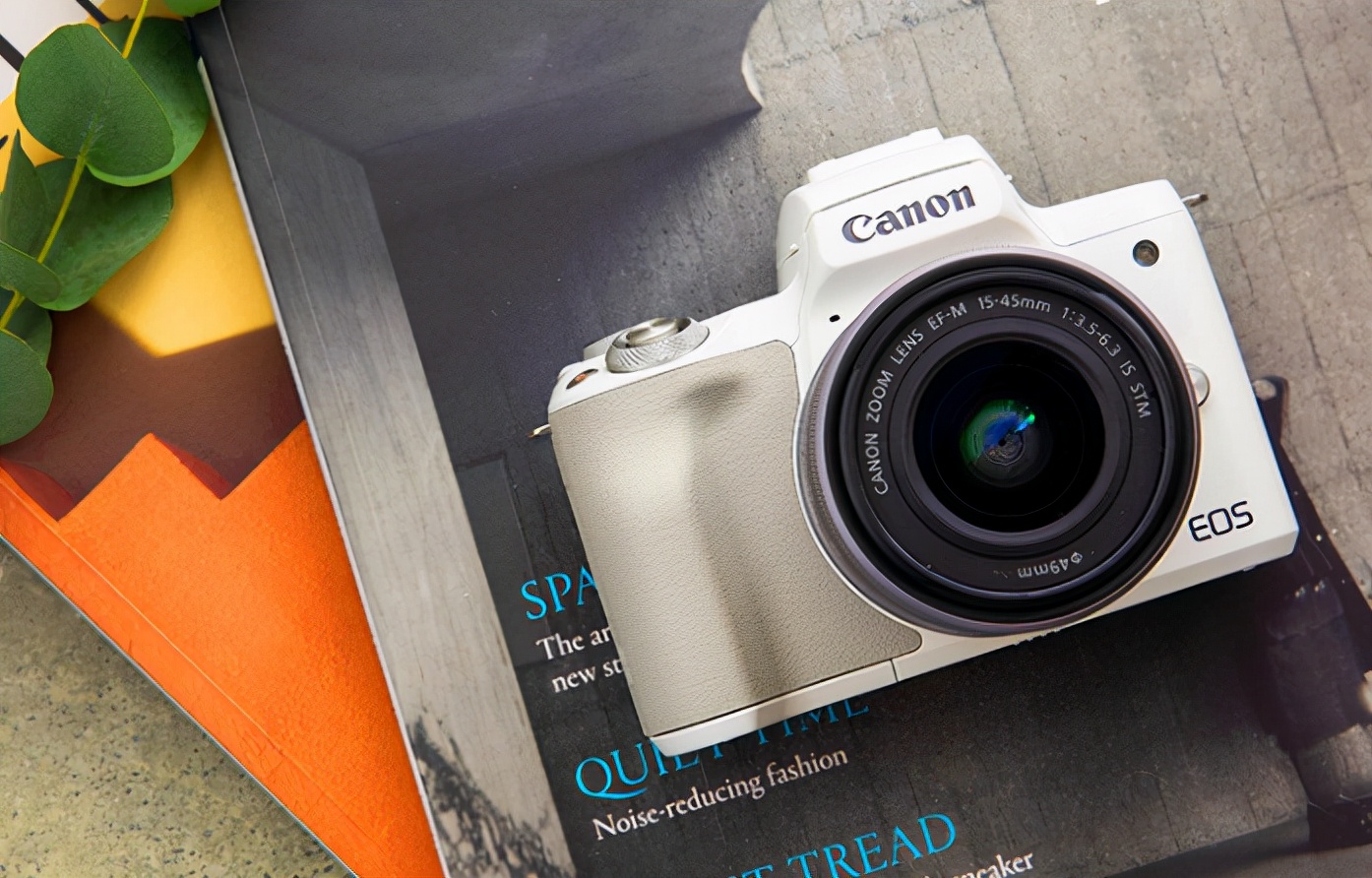 微单相机索尼佳能尼康到底选哪个,索尼微单a92对应尼康哪一款机