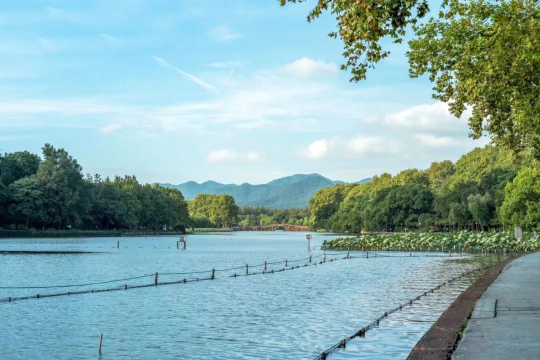 杭州的秋天随处可见都是美景,杭州西溪湿地美成调色盘