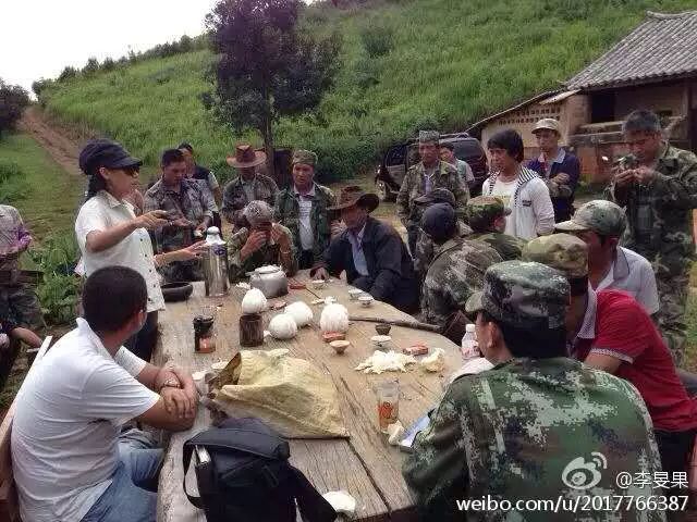 29岁不当记者，追随德国老公守护雨林，两女儿宛如天使，可不上学