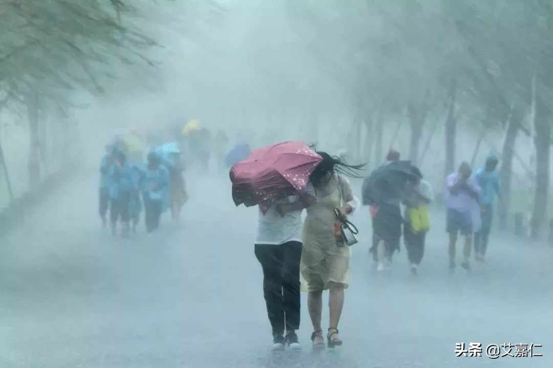 艾嘉仁养生效果怎么样,艾嘉仁如何急救