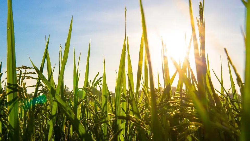 加拿大萨省还有什么名称,加拿大萨省属于穷人区吗