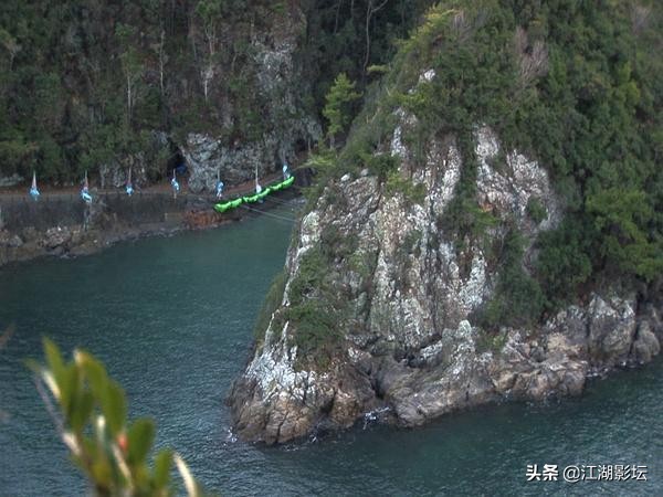 最震撼的海豚湾纪录片,海豚湾纪录片免费完整版在线