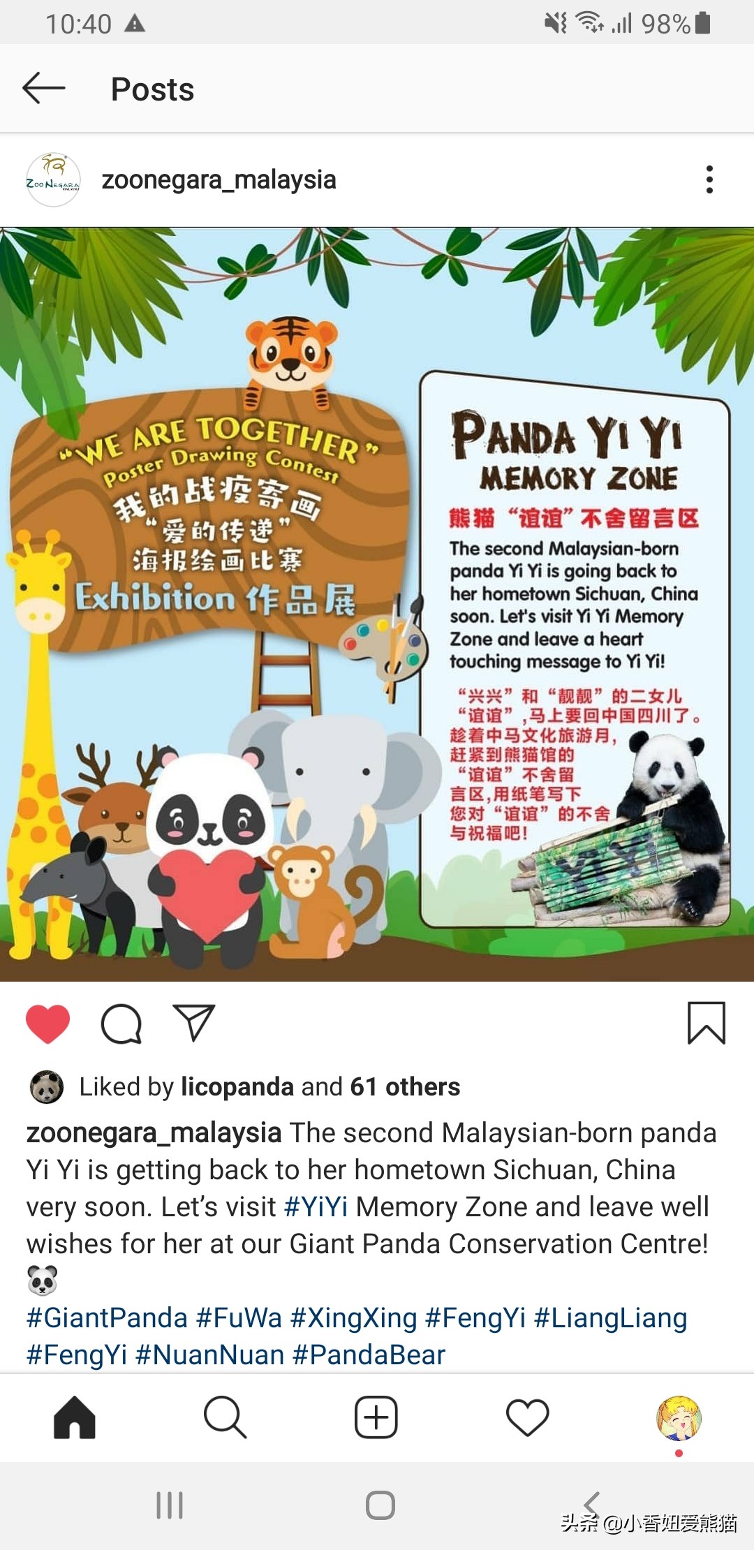 马来西亚大熊猫谊谊出生,熊猫谊谊小时候的照片