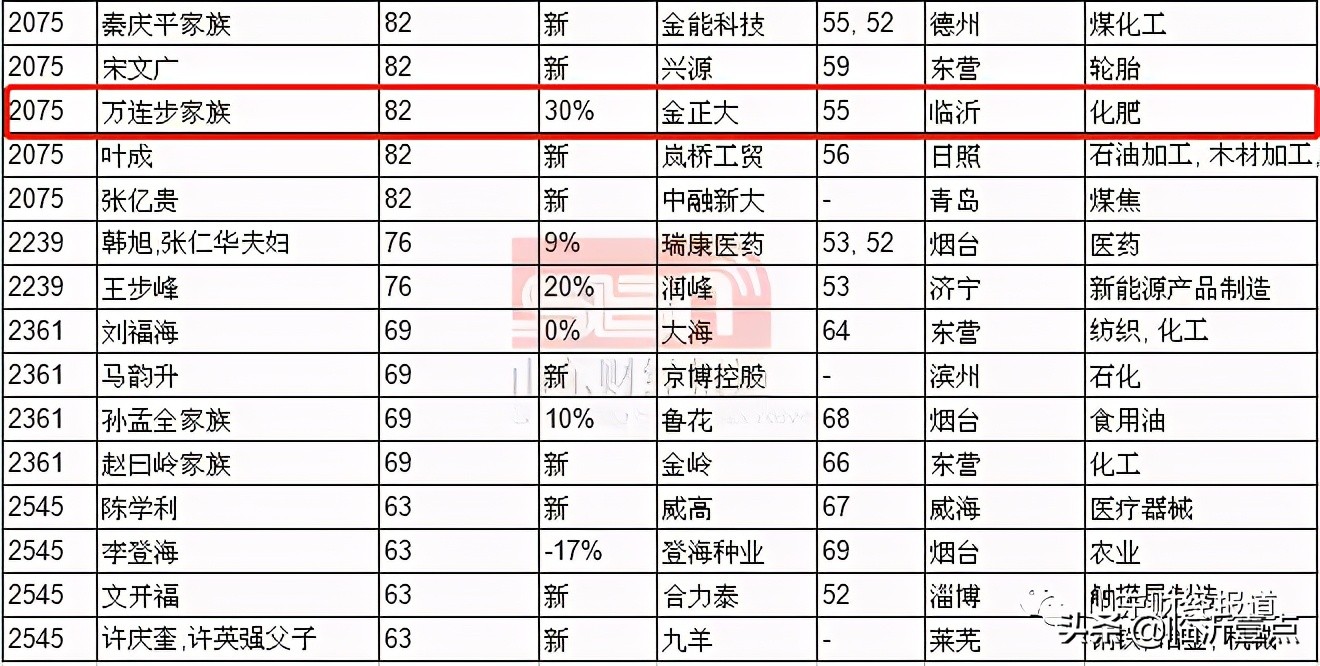 2009年临沂首富,临沂罗欣药业现状