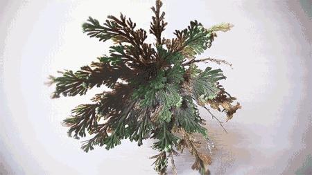 5款零差评口碑爆好的抗皱面霜,澳洲公认最好用的平价面霜