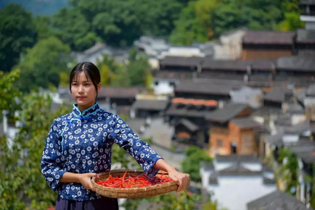 篁岭晒秋盛典,第八届篁岭晒秋文化节