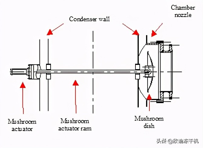 冻干机维修视频大全,合肥冻干机维修