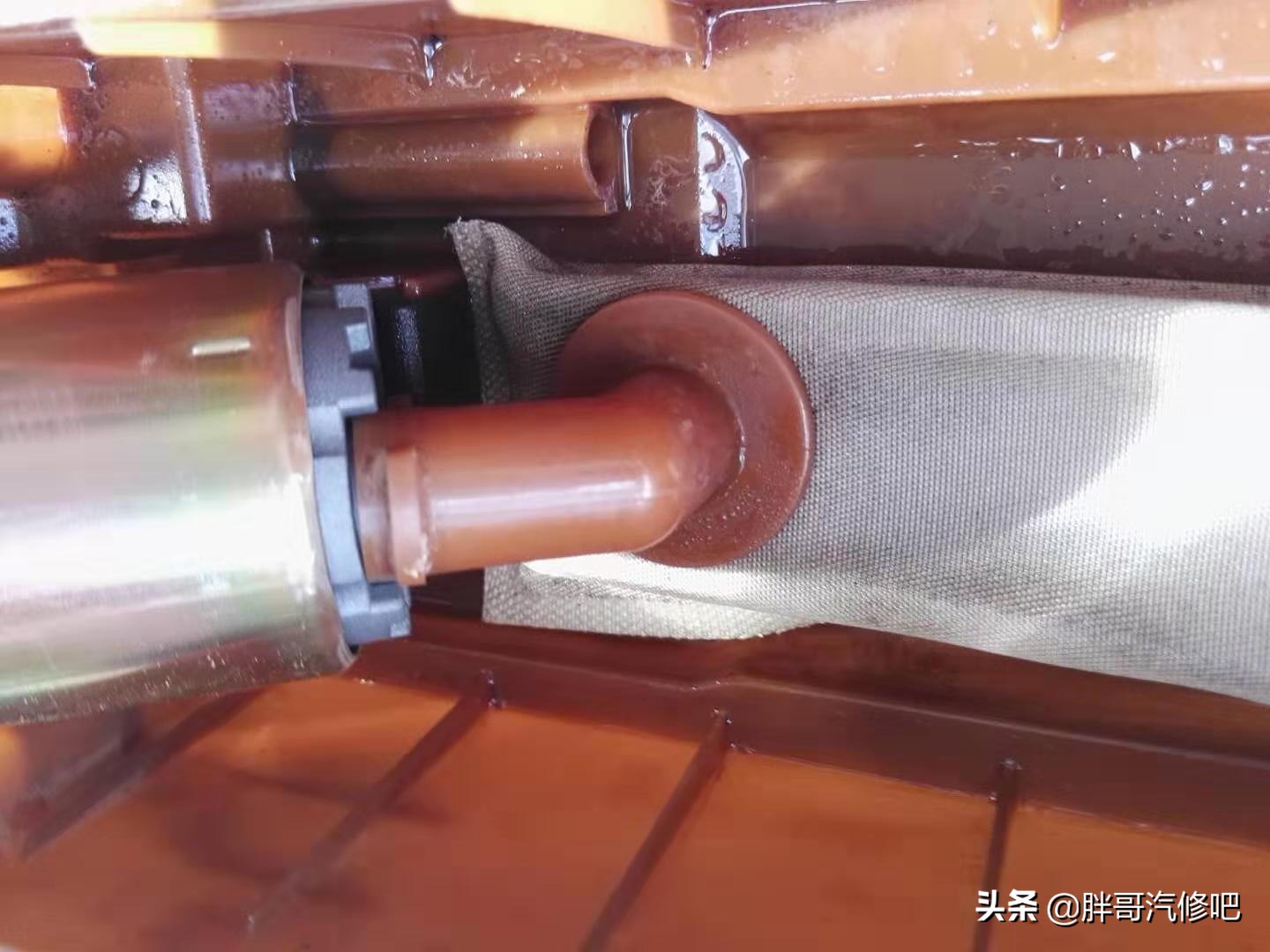 19年蓝鸟难启动很抖,2004年老蓝鸟