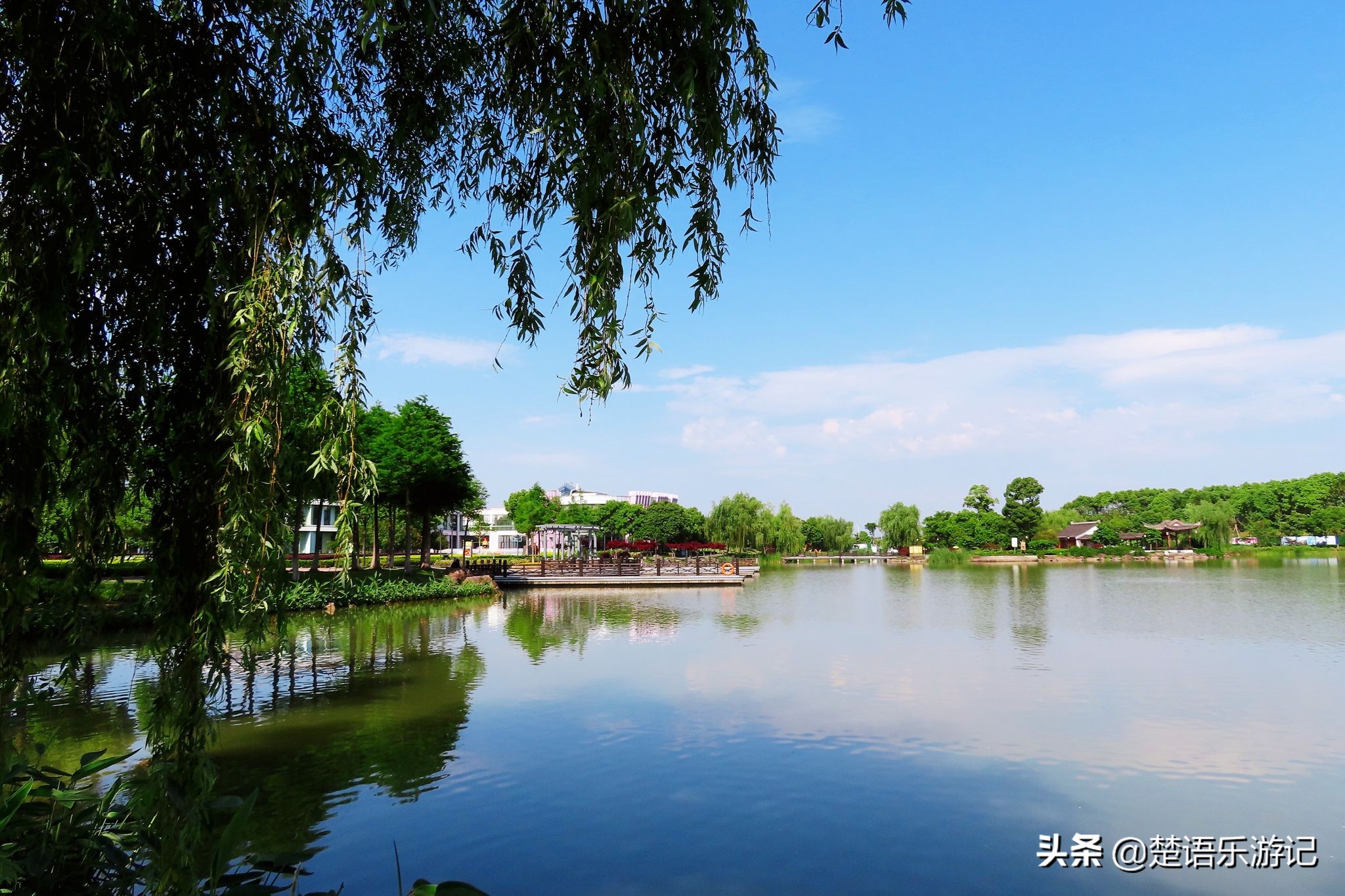 宁波奉化最好的公园,宁波奉化旅游景点推荐森林公园