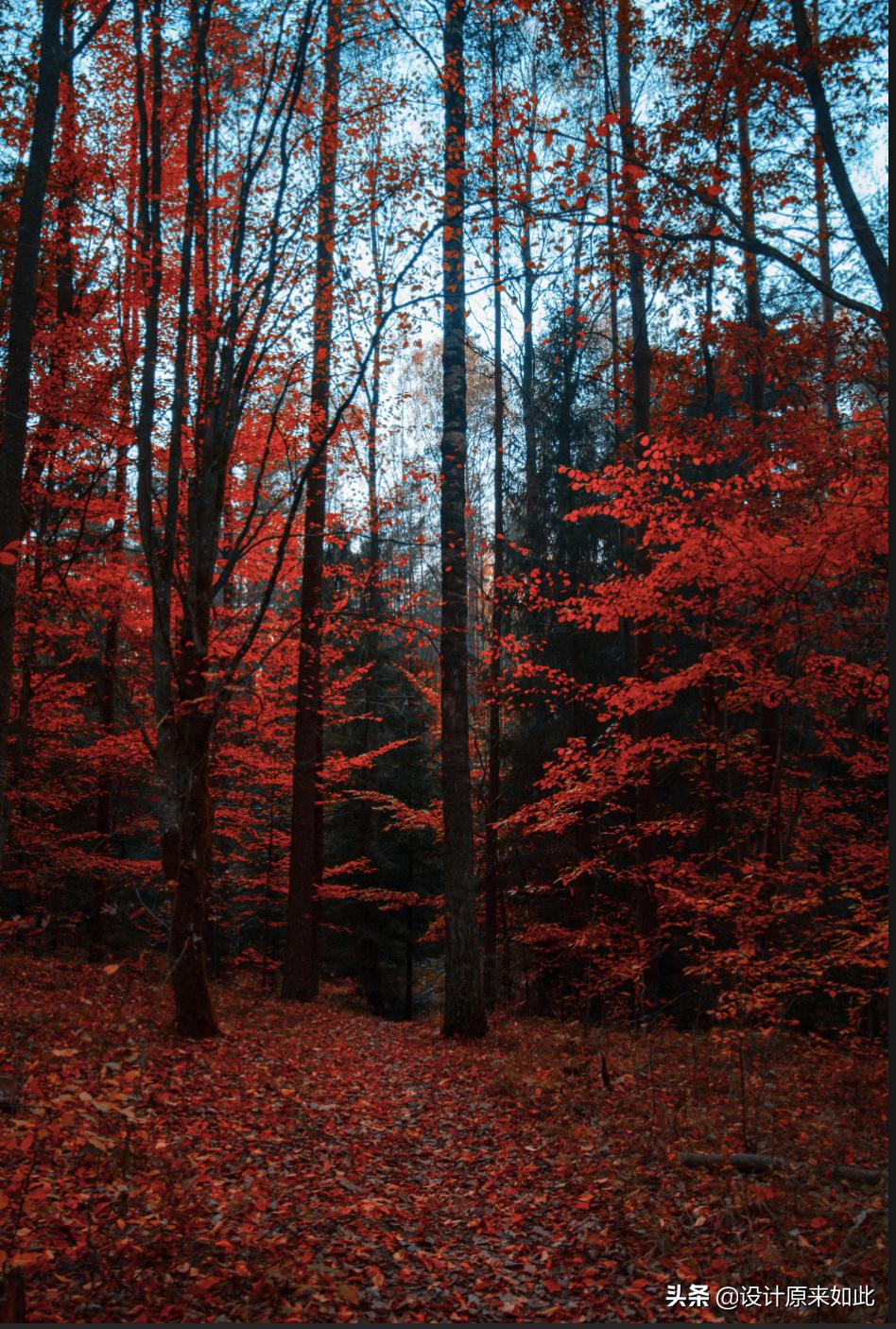 ps调色咖啡色的色号对照,ps中的可选颜色的调色过程和原理