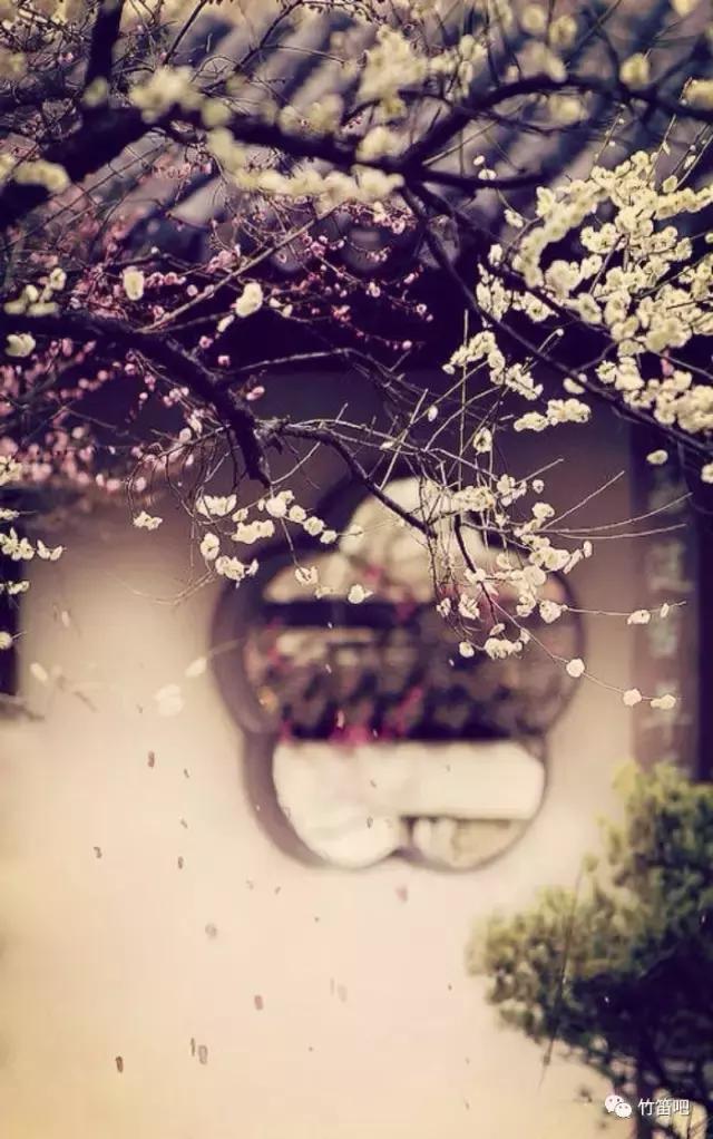 笛子俞逊发丨360°都看不够的江南美景《姑苏行》