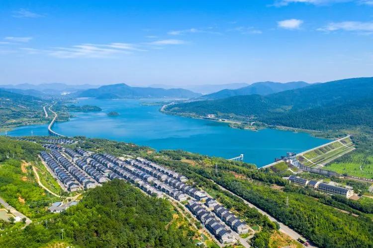 全国第二，湖州是怎样做到的？「湖州打听猫」