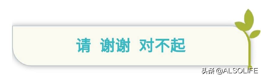 alsolife基础治疗师,alsolife使用教程