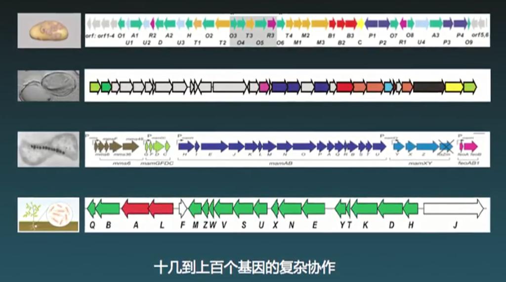 生物可降解塑料前景,生物可降解塑料是什么原料