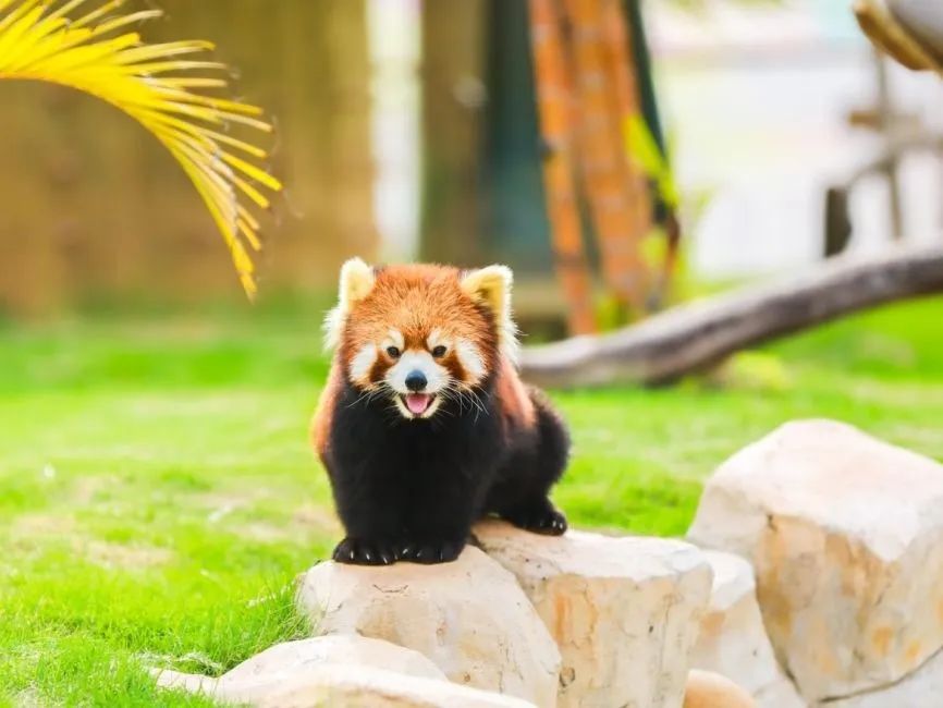 厦门周边适合亲子游的最佳地方,适合1-4岁亲子游的地方厦门