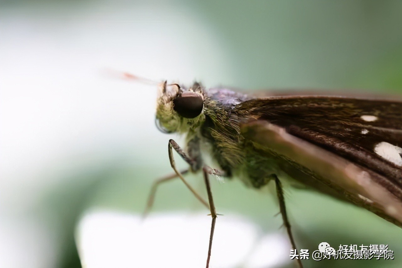 索尼全画幅适马和腾龙怎么选,腾龙和适马镜头哪个适合索尼微单