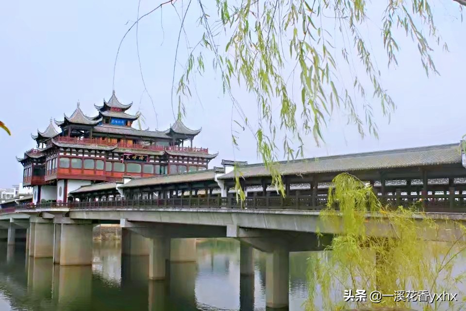 春风又绿江南岸风景,春风又绿江南岸风景图片