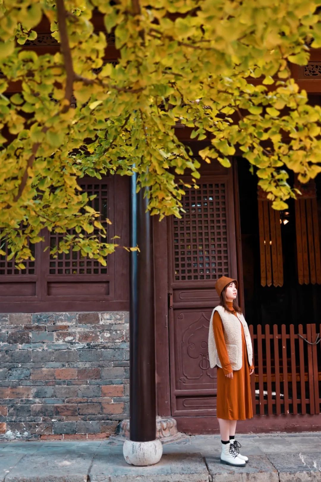 黄了！山东爆火的“银杏林”，千余亩的曼妙绝伦，只等你来！