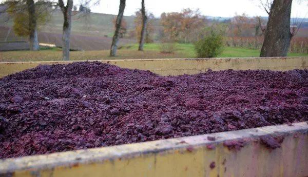 法国干红葡萄酒酿造过程,葡萄酒酿造过程