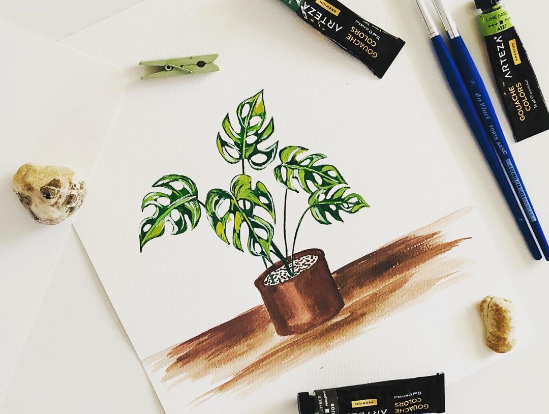 清新水彩手绘花卉插画,高级感的花卉插画