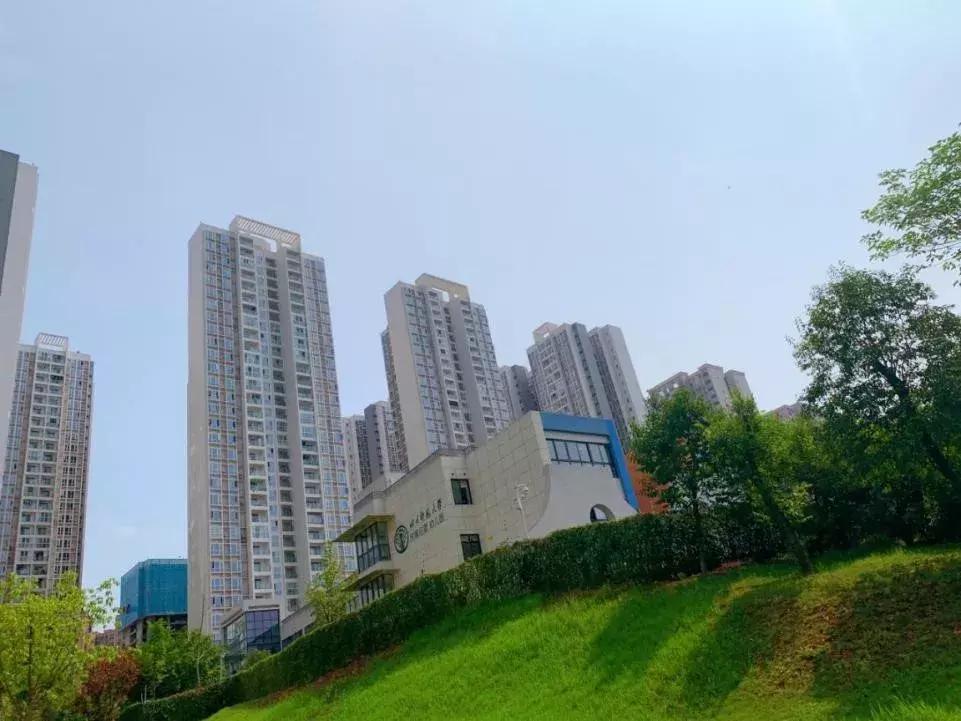 龙泉最贵的幼儿园,成都龙泉驿区最贵的幼儿园