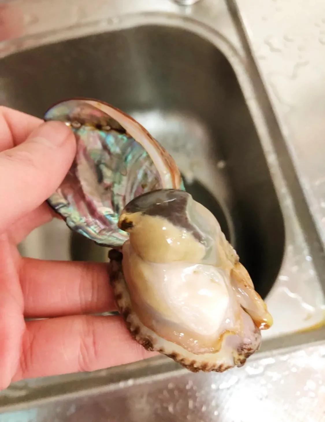 鲍鱼怎么洗最快最干净,如何洗鲍鱼才能洗干净