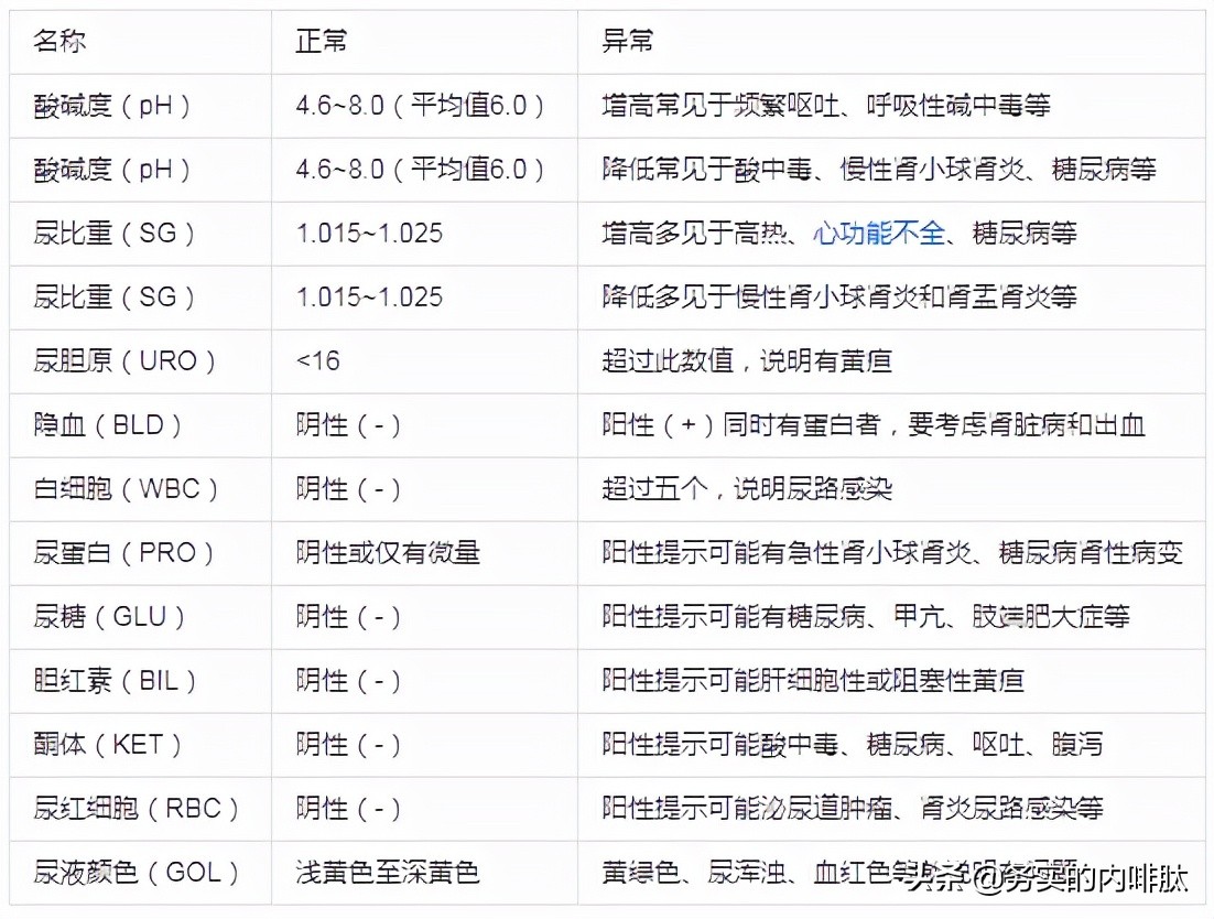临床基本功：尿常规的解读