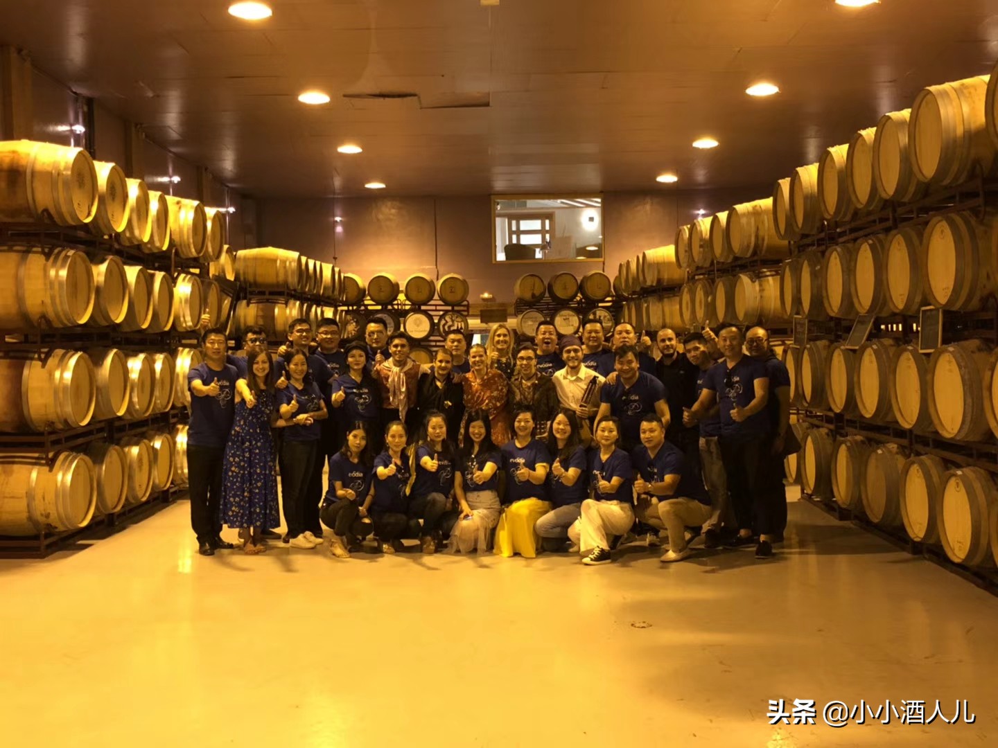 深圳葡萄酒推荐厂家供货,深圳葡萄酒推荐批发基地