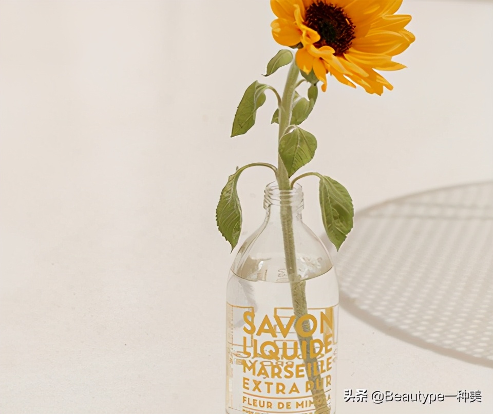 来自南法的清新海风COMPAGNIEDEPROVENCE