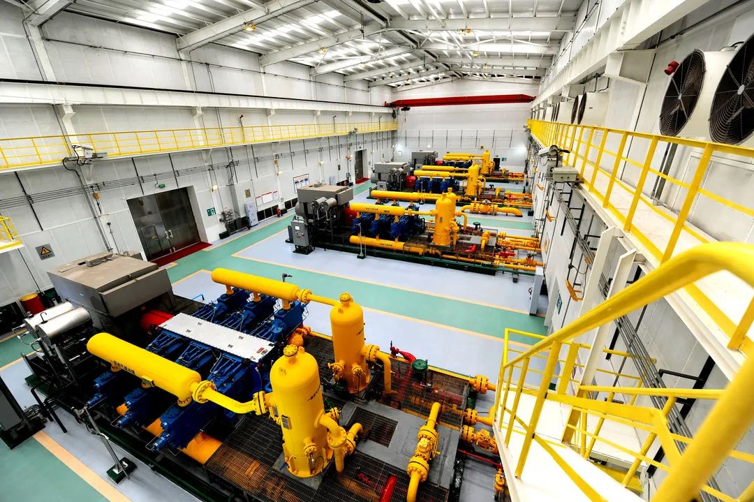 用行舍藏的意思,用舍行藏小说