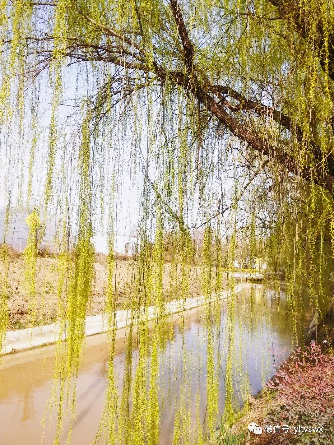 杨凌现状,杨凌最新照片