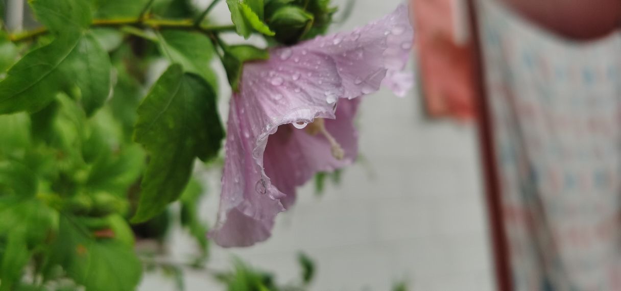 结婚十年在婆家一直没有归属感,为什么一回婆家我心情就很糟