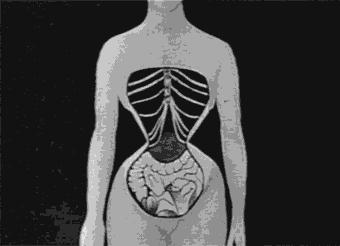 束腰流行的原因,束腰为什么又流行