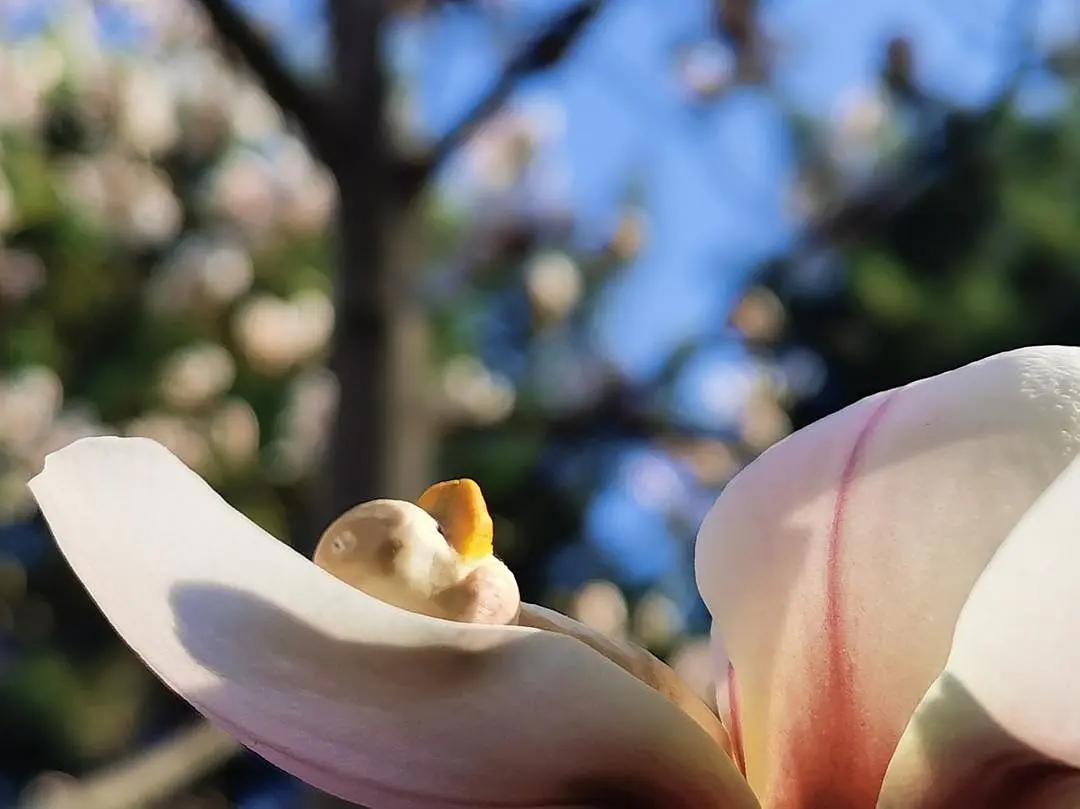 入木三分真功夫,入木三分让我懂得了什么