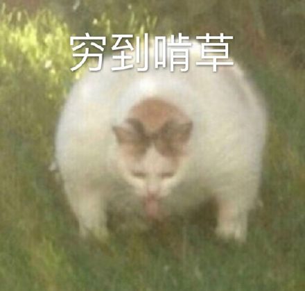 要生活费表情包爸爸版,讨生活费的表情包微信公众号