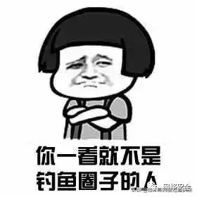 网络诈骗和网络安全知识,网络安全知识和防诈骗知识