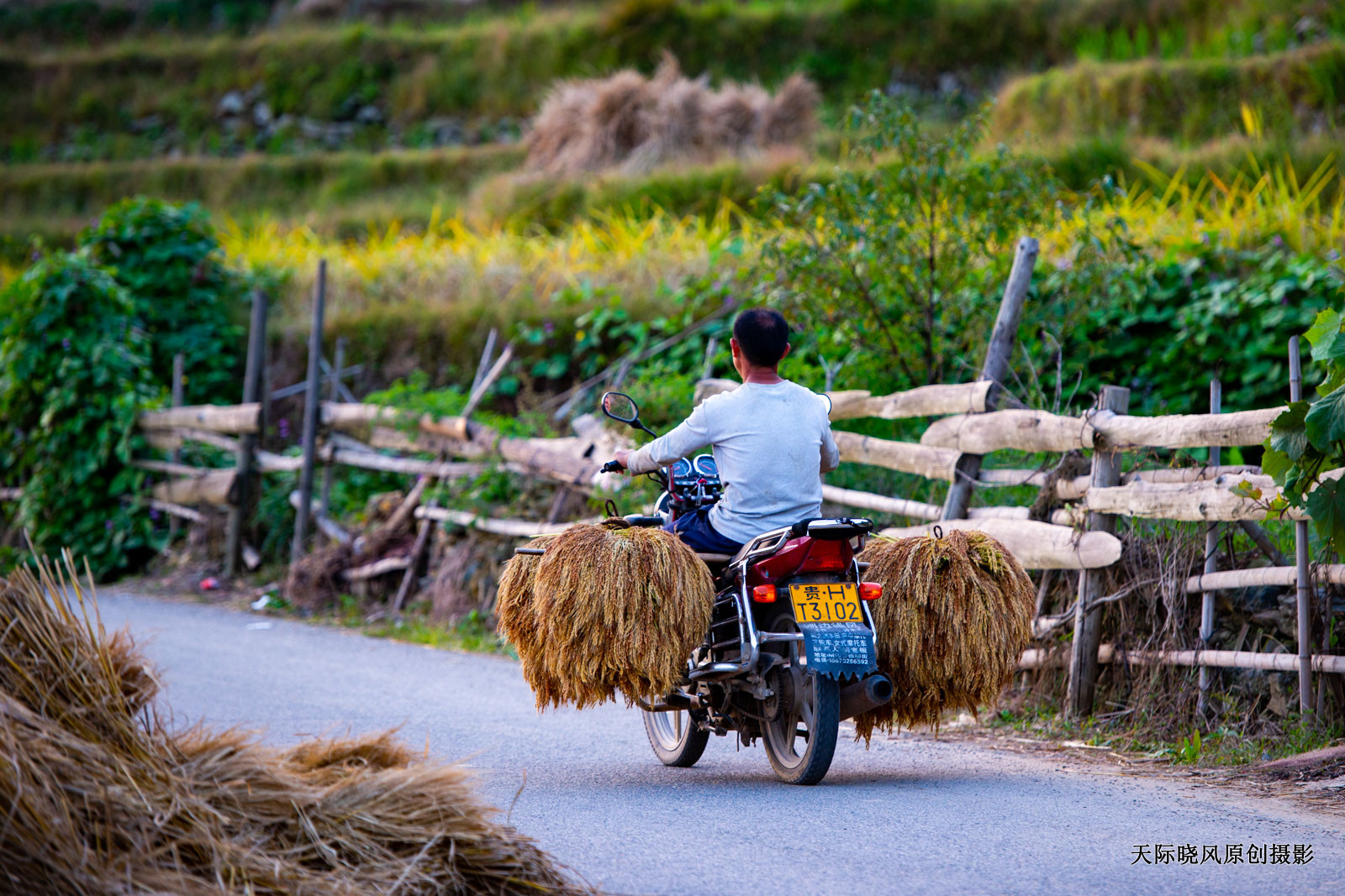 贵州加榜梯田简介,加榜梯田苗族完整版