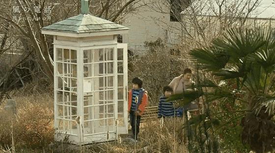 日本高分纪录片免费观看,日本的高分纪录片