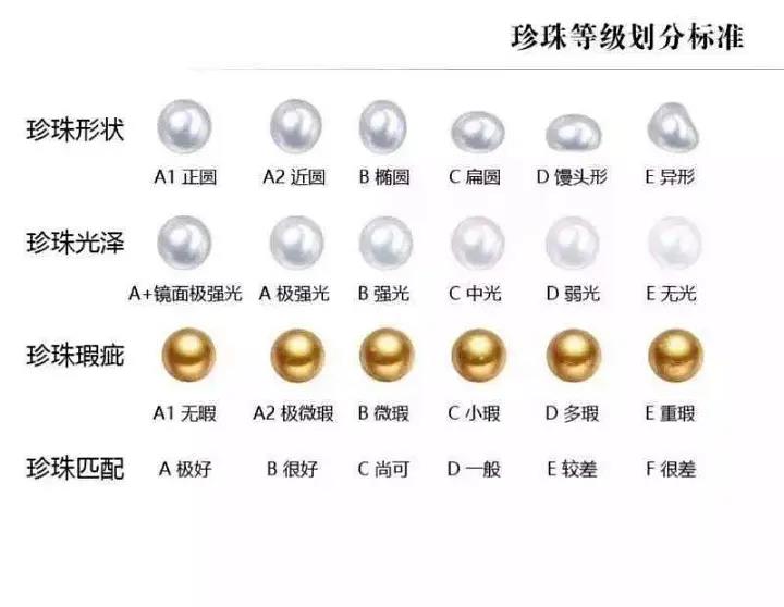 复古纽扣必备工艺有哪些,马氏贝纽扣和海氏贝纽扣的区别
