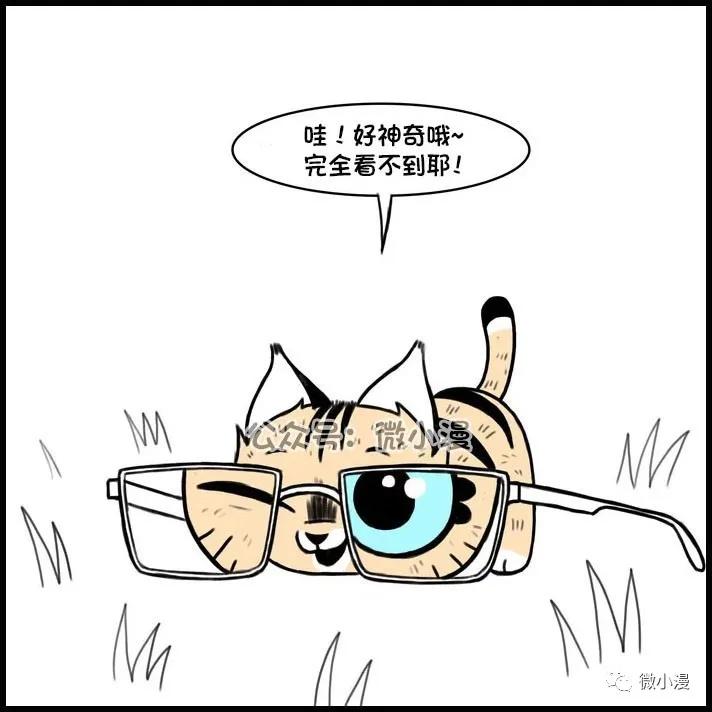 小猫咪欺负大狗漫画,小猫咪欺负大狗漫画暖心