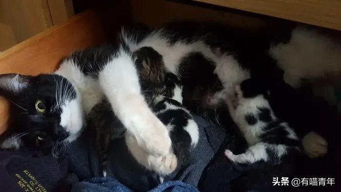 男子报警21岁喜当爹,男子喜当爹做了一件荒唐事