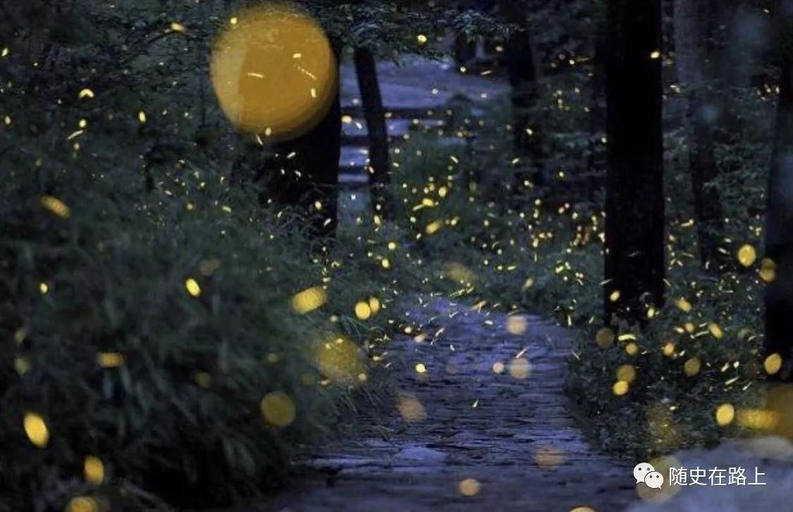 我有一个心愿叫金陵